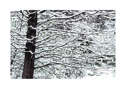 Composition